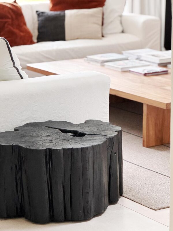 Tochos extra grandes - Imagen 4