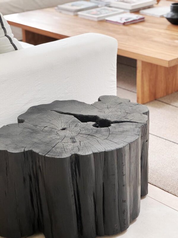 Tochos extra grandes - Imagen 6