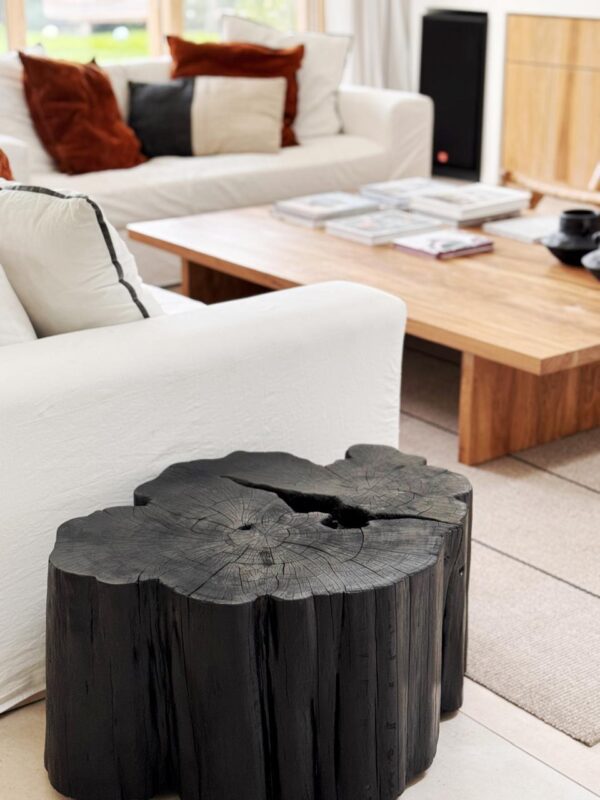 Tochos extra grandes - Imagen 7