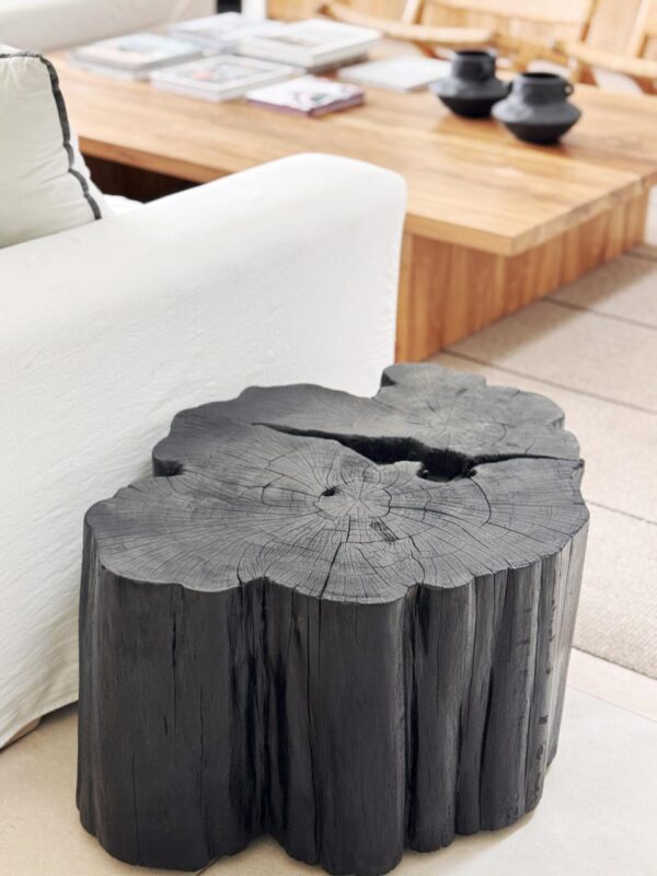 Tochos extra grandes - Imagen 8