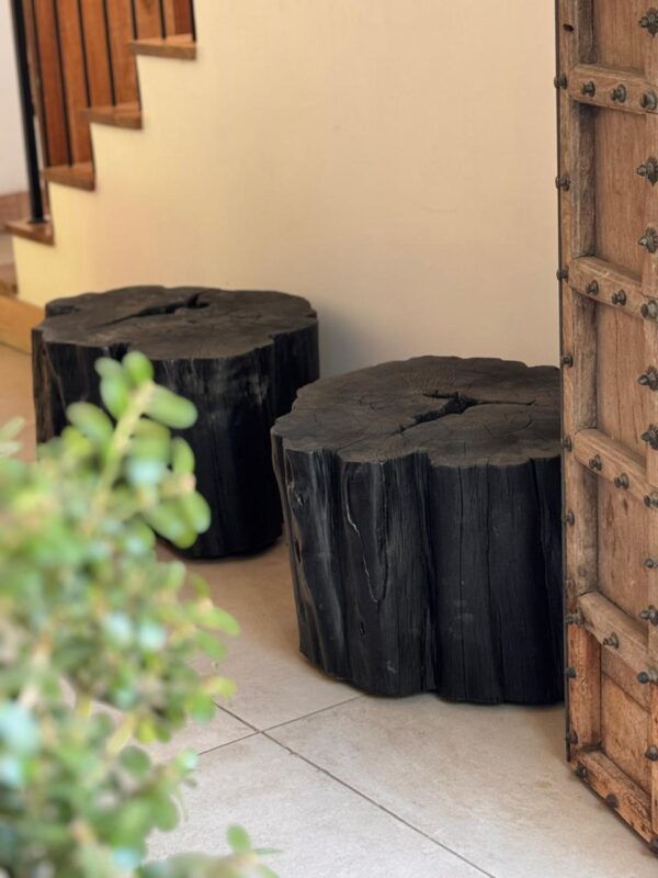 Tochos extra grandes - Imagen 9